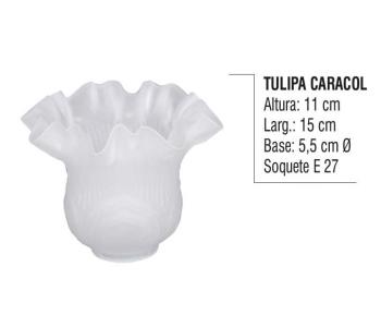 Tulipa Caracol